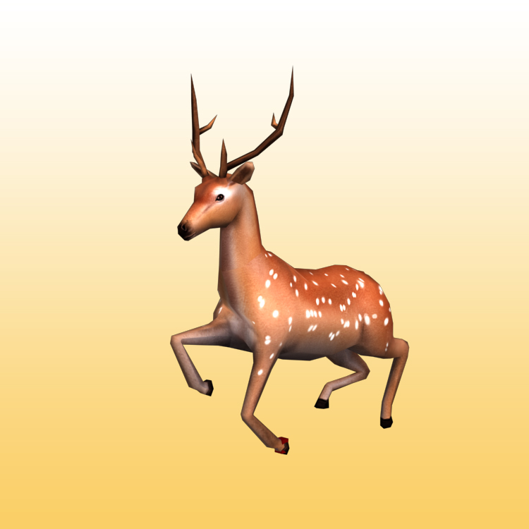 Sika deer 3d model